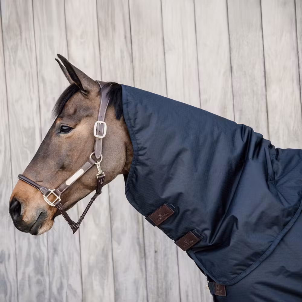 Neck All weather Waterproof Classicnavy 150 gram large