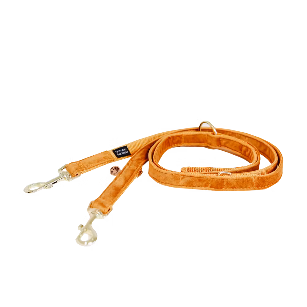 Dog lead velvet black size S 2m