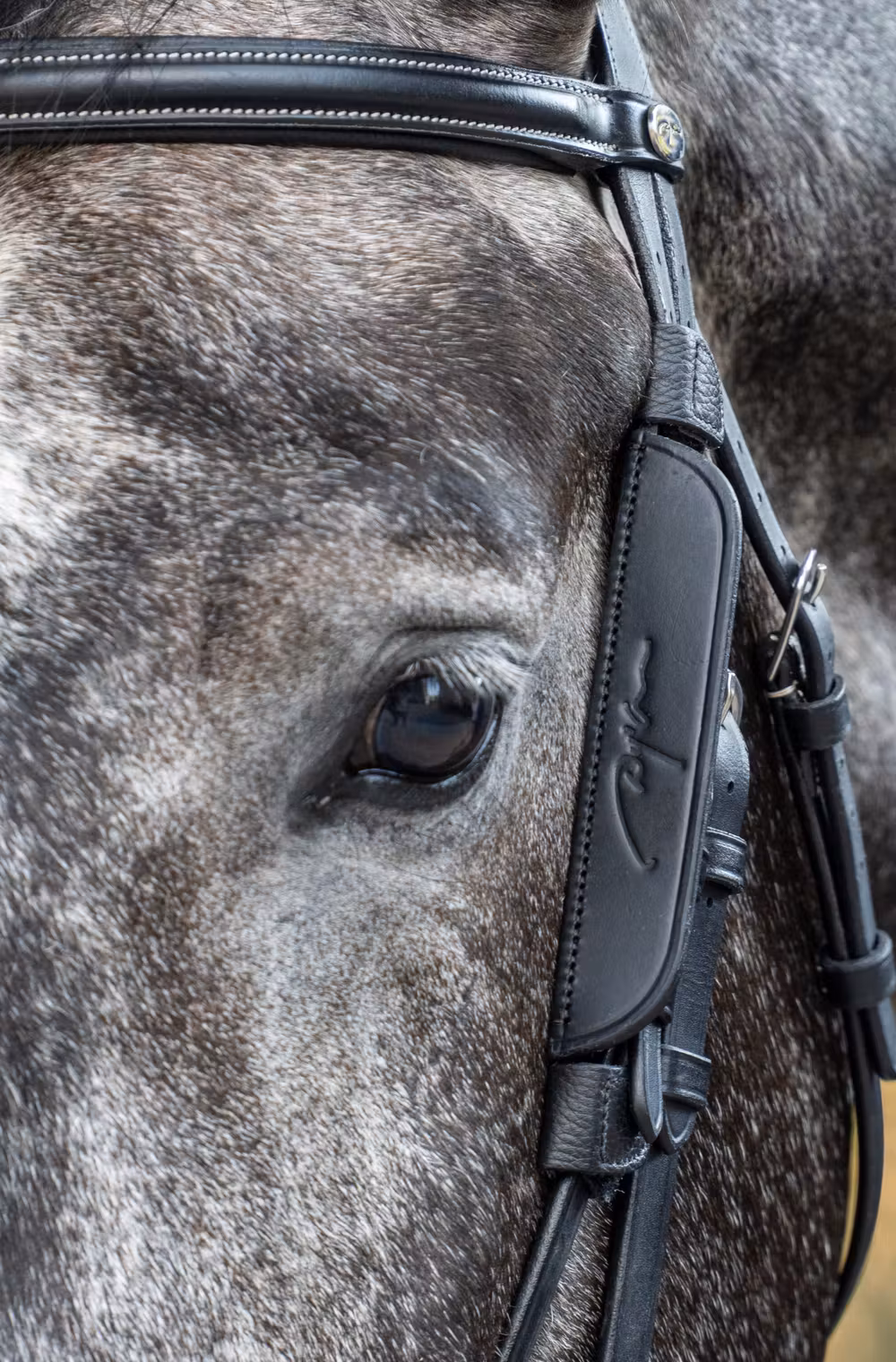 Blinkers