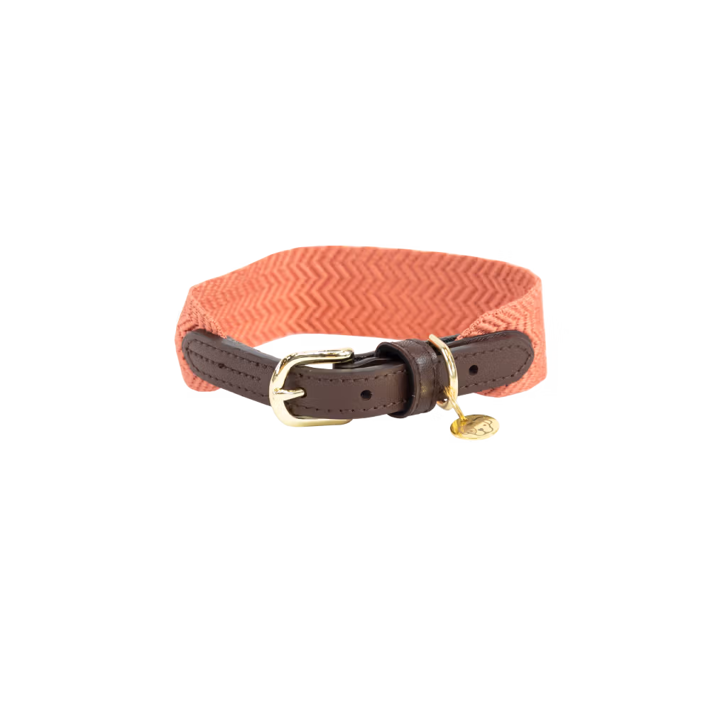 Dog collar Jacquard terracotta XL 71cm