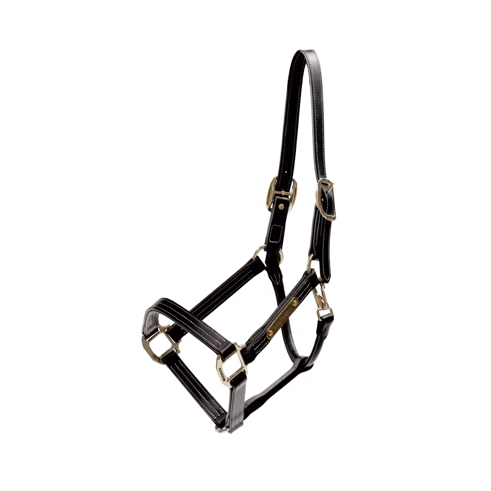 Leather halter Wellington black Full