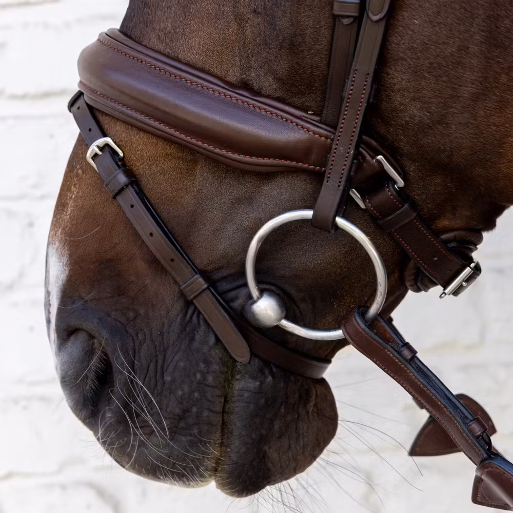 Bridle Medium noseband soft leathersoft coll Full/brown