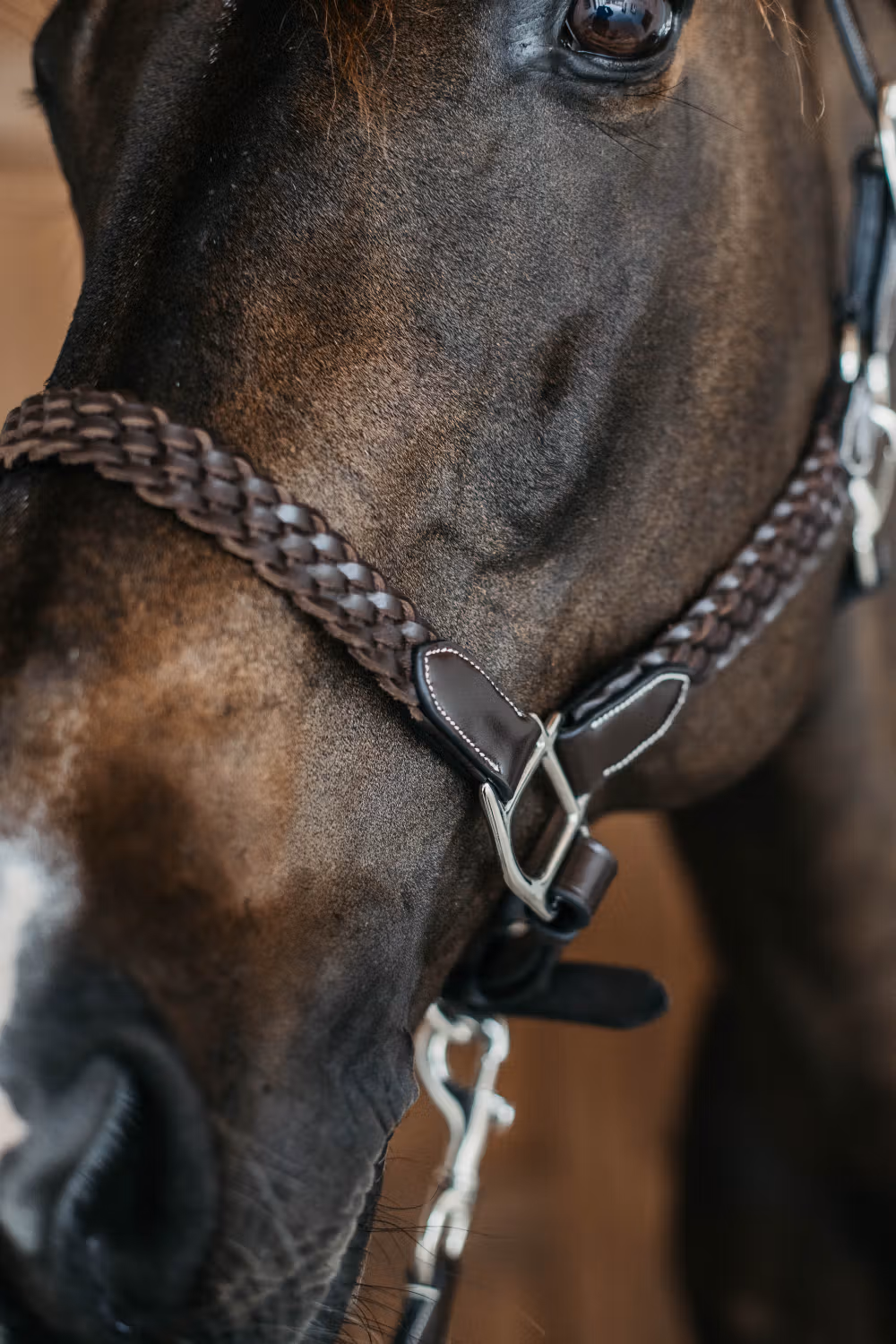 Plaited Halter