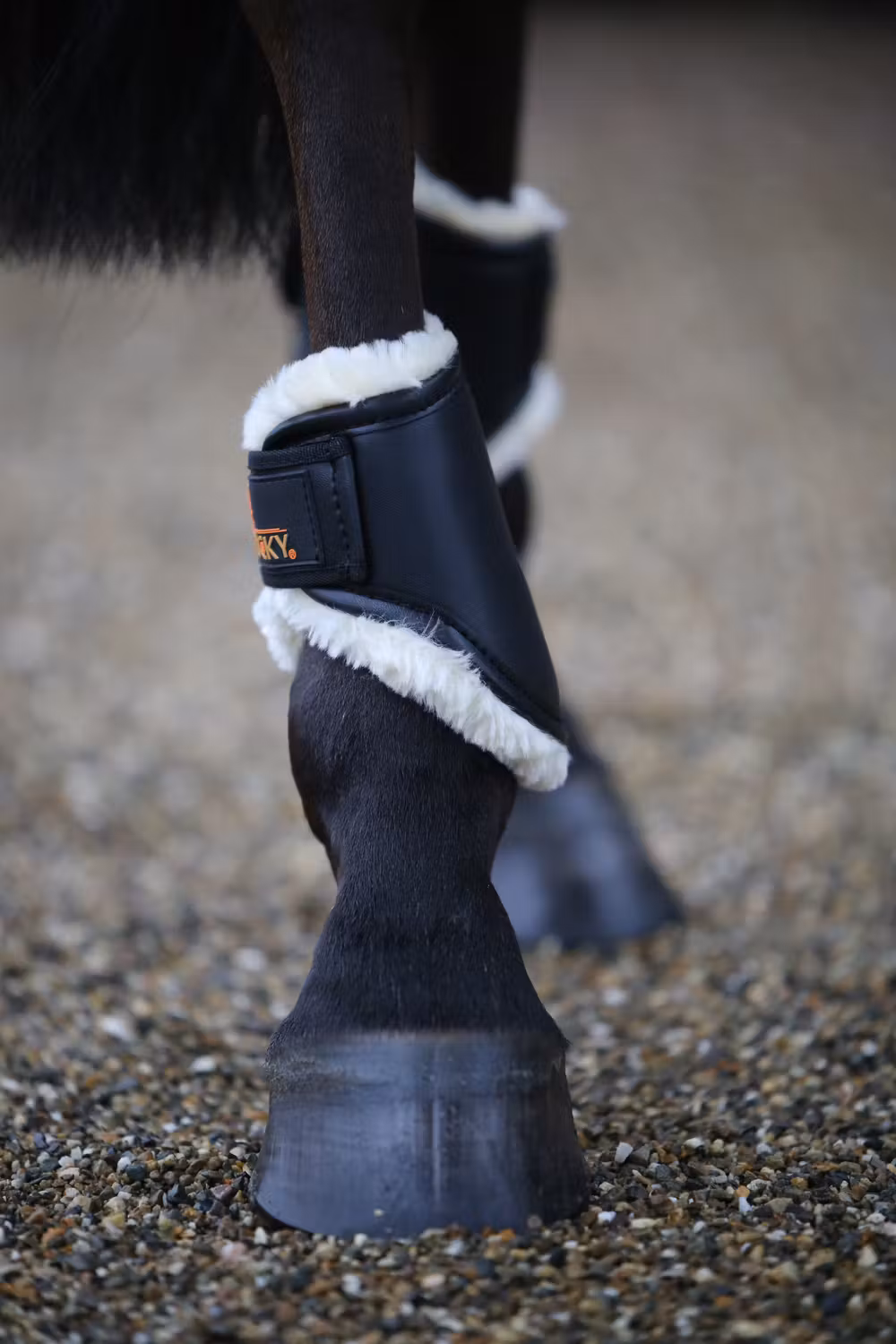 Turnout boots leather black hind short