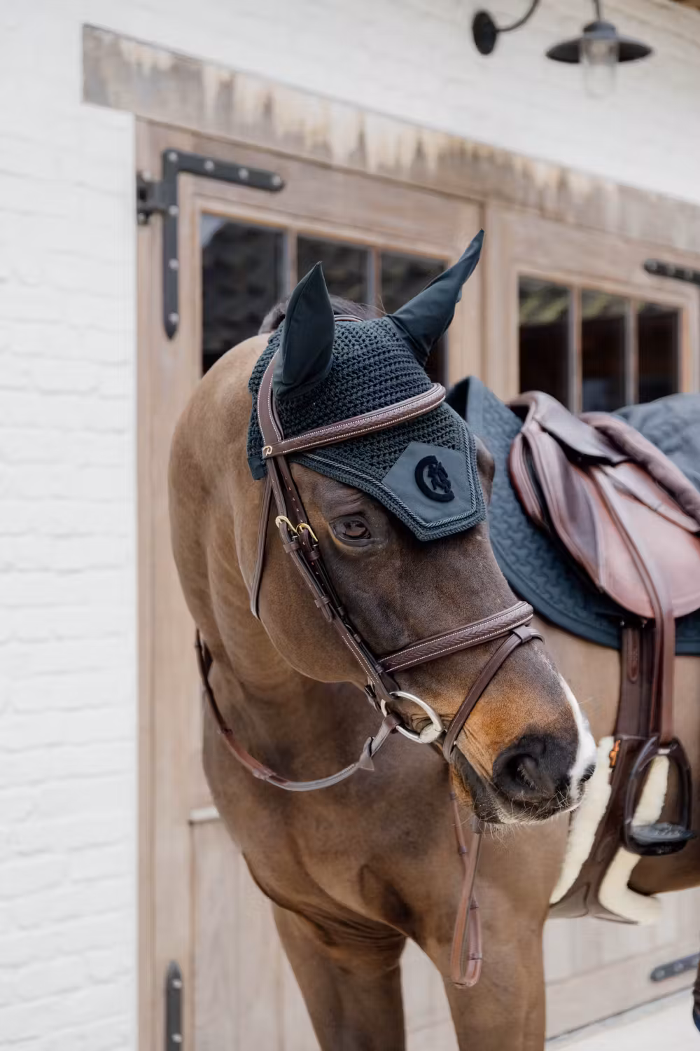 Plaited Flash Noseband Bridle Brown Full D Collection