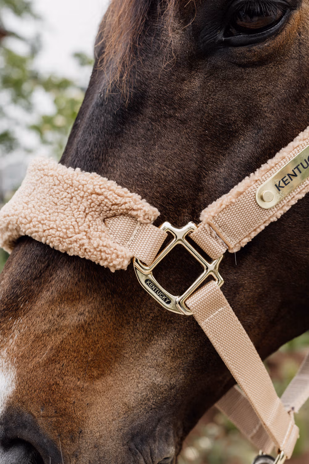 Teddy fleece Halter beige Pony