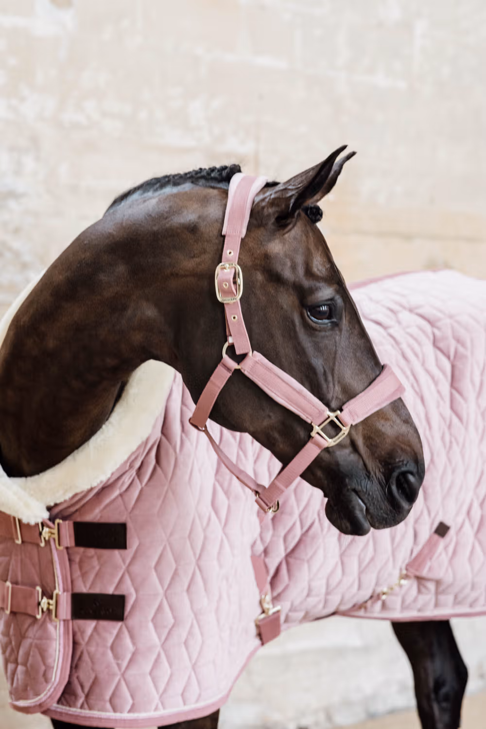 Velvet Halter old rose cob