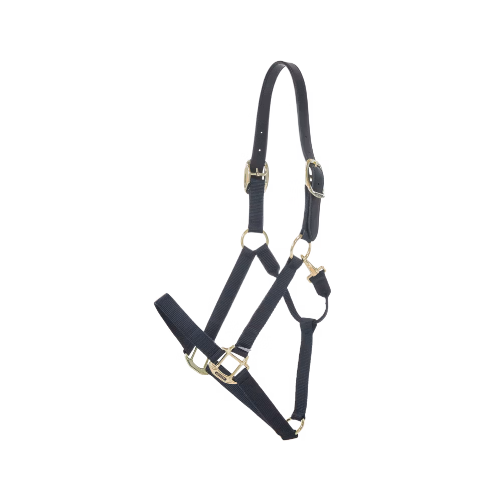 Nylon halter Breakaway old rose Shetland Pony