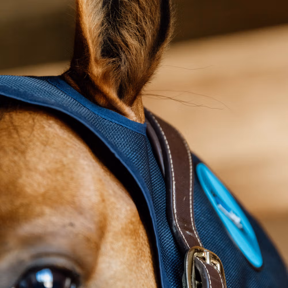 Magnetic Neck protector Recuptex Full