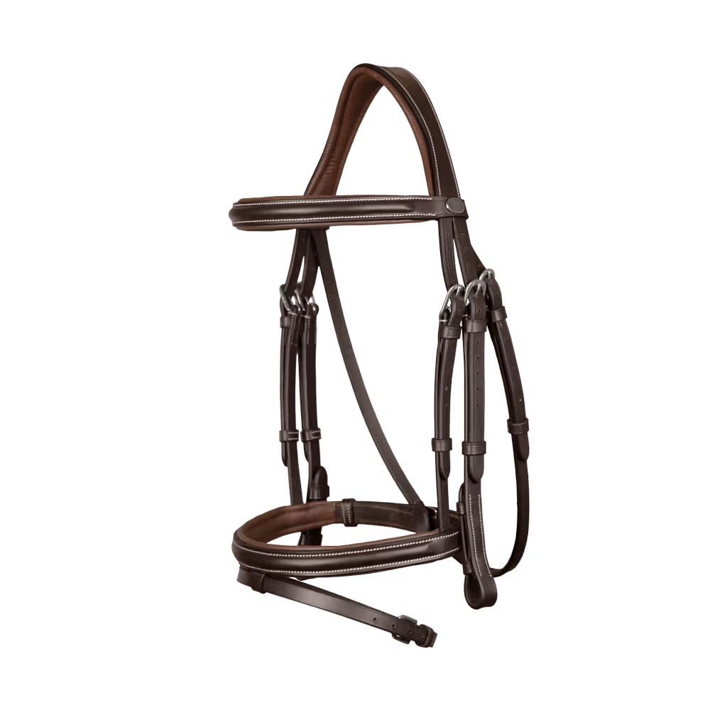 Flash Noseband Bridle