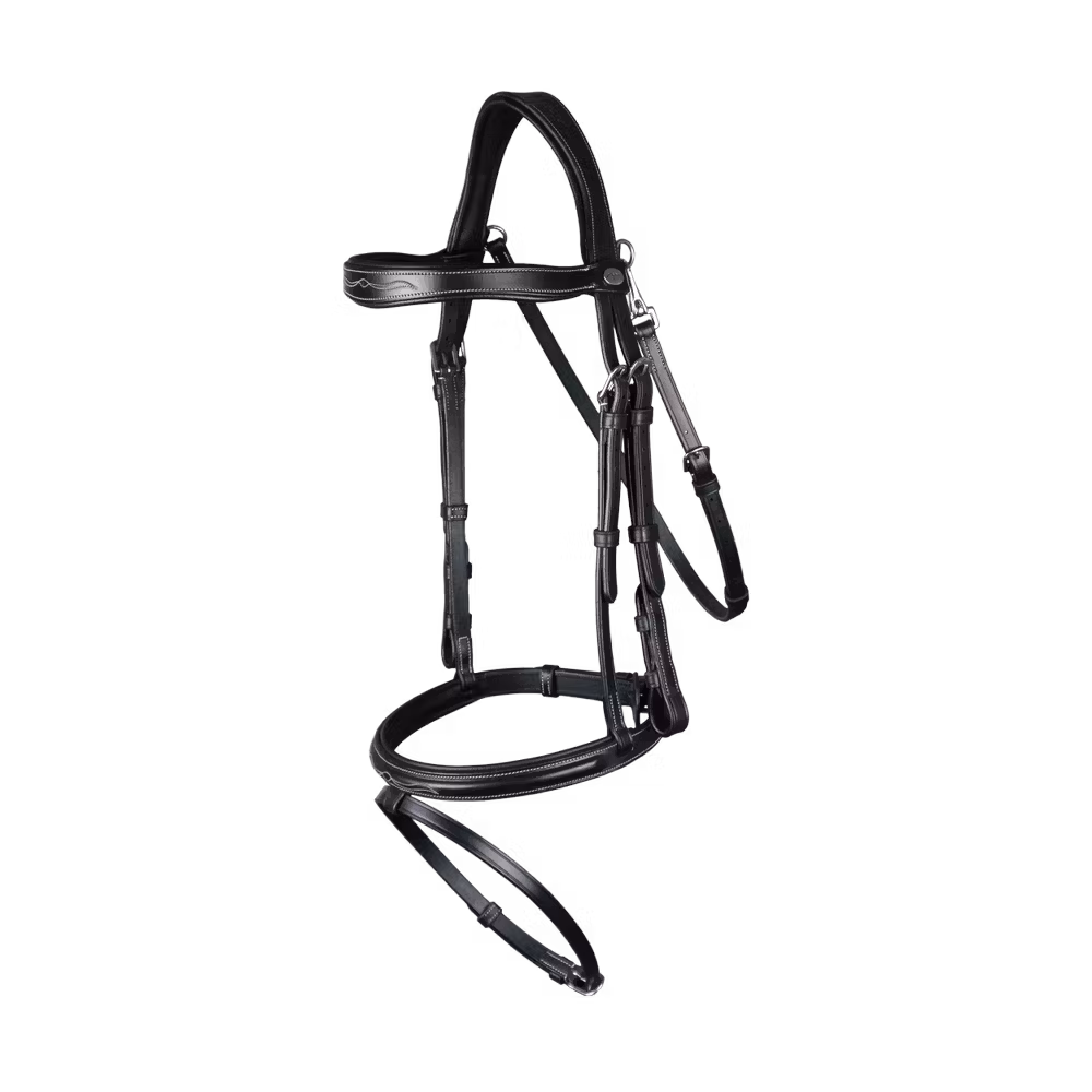 Flash Noseband Bridle With Snap Hook