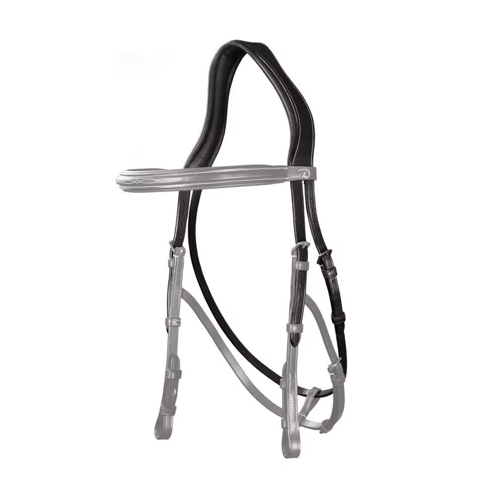 Hackamore Headpiece