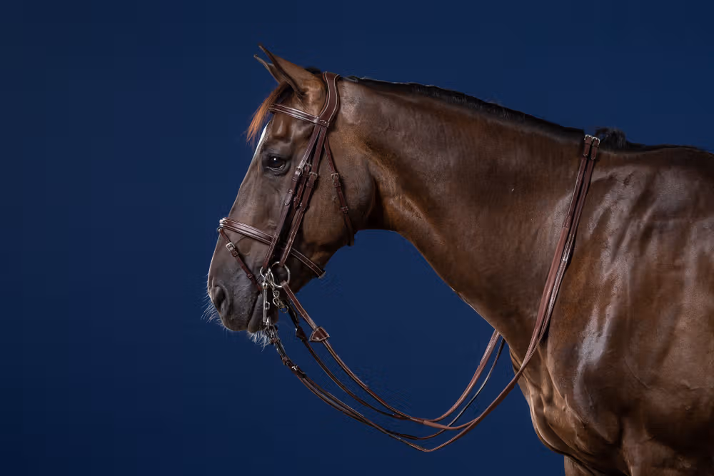Flash Noseband Double Bridle
