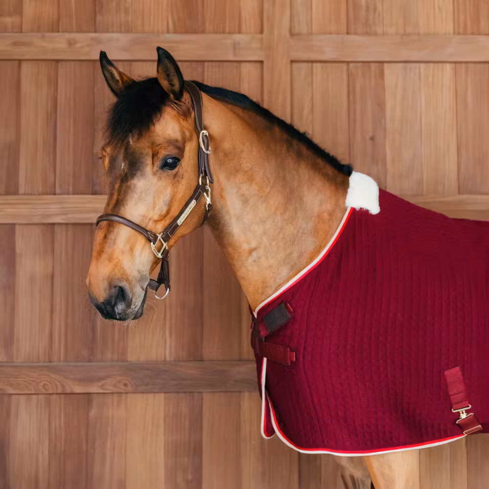 Cooler rug PROTherm bordeaux 145-6'6