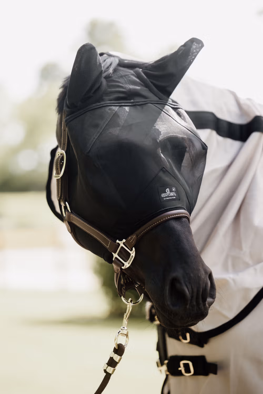 Fly mask classic with ears black Pony