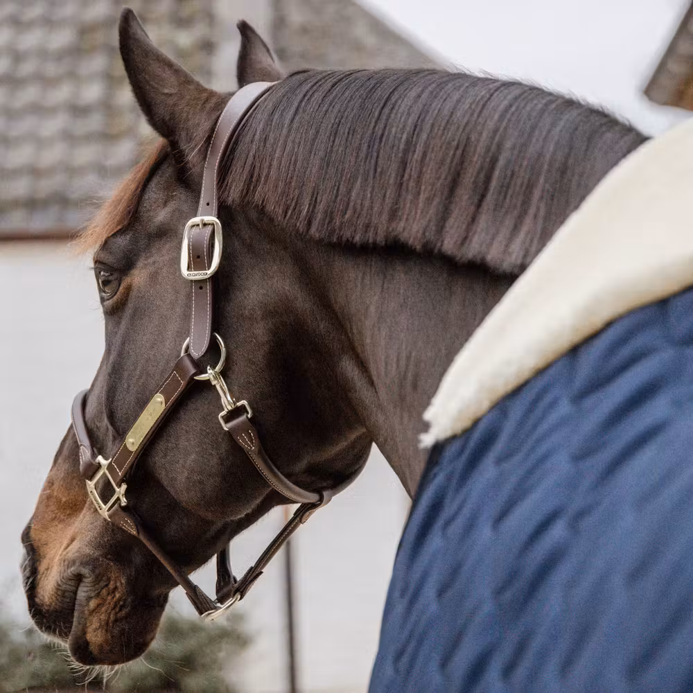 Stable rug comfort navy 145-6'6 100 gram