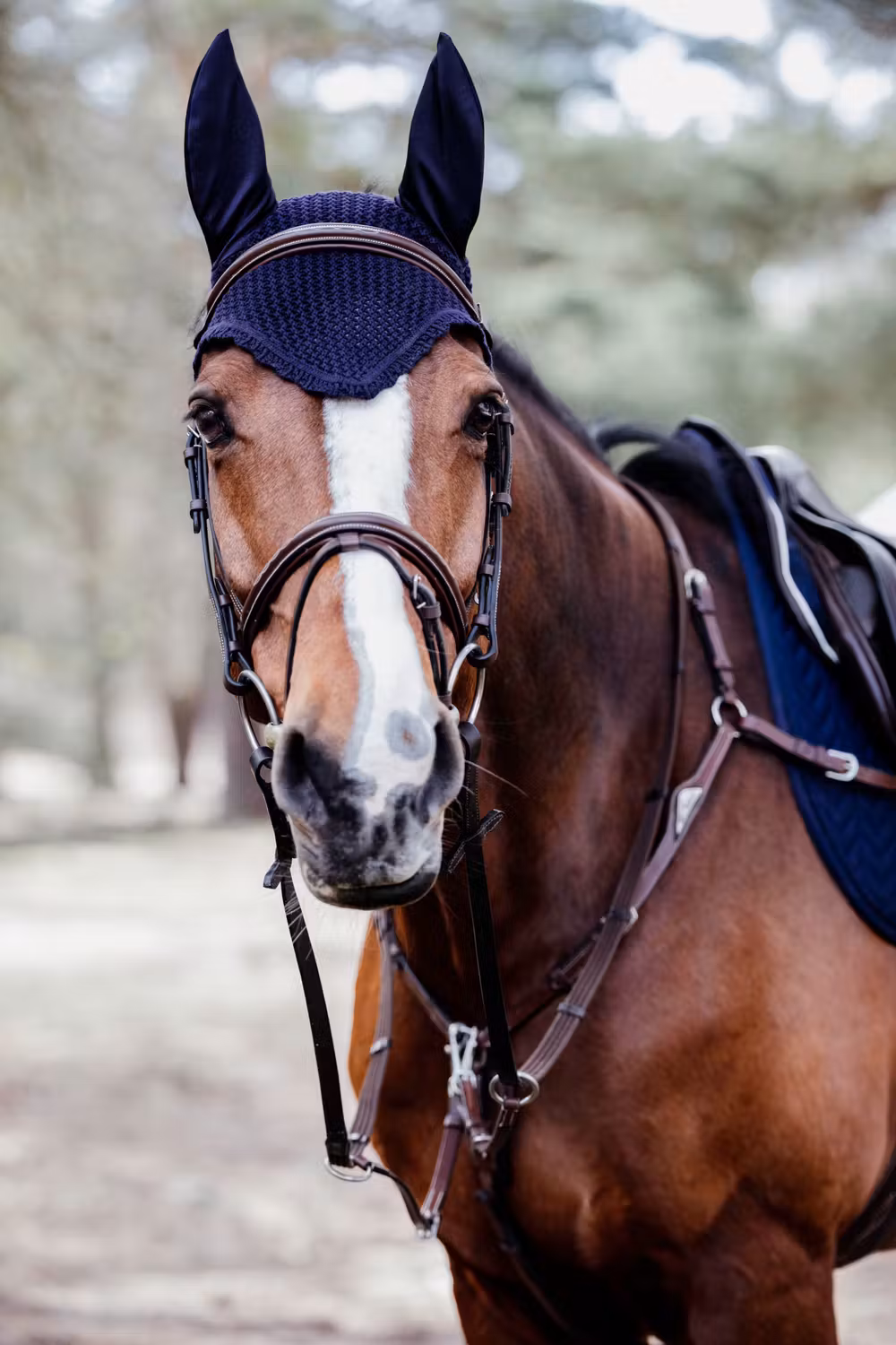 Fly veil dark navy