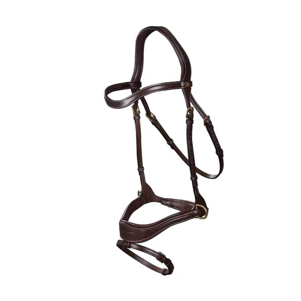 D Motion Bridle