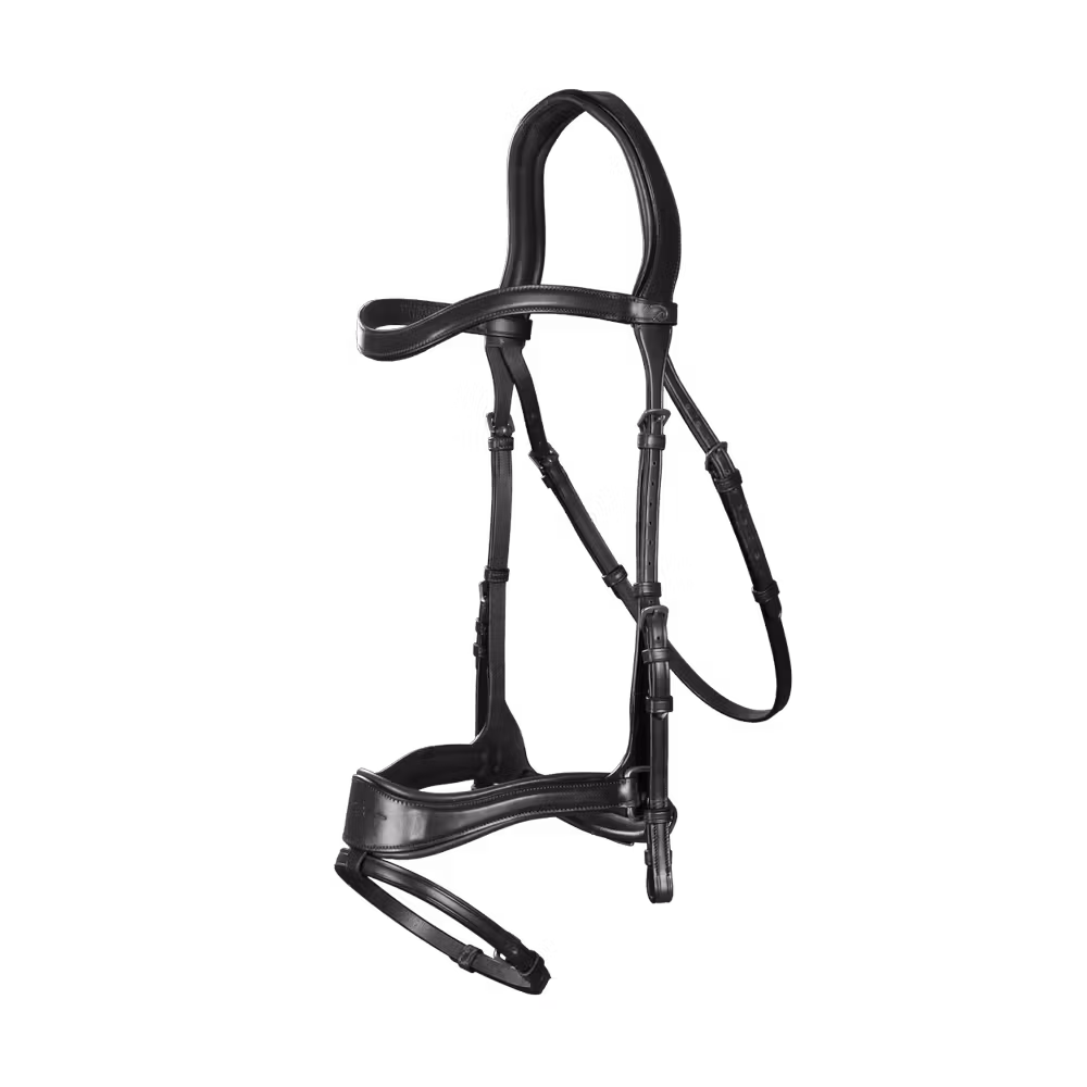 D Motion Bridle