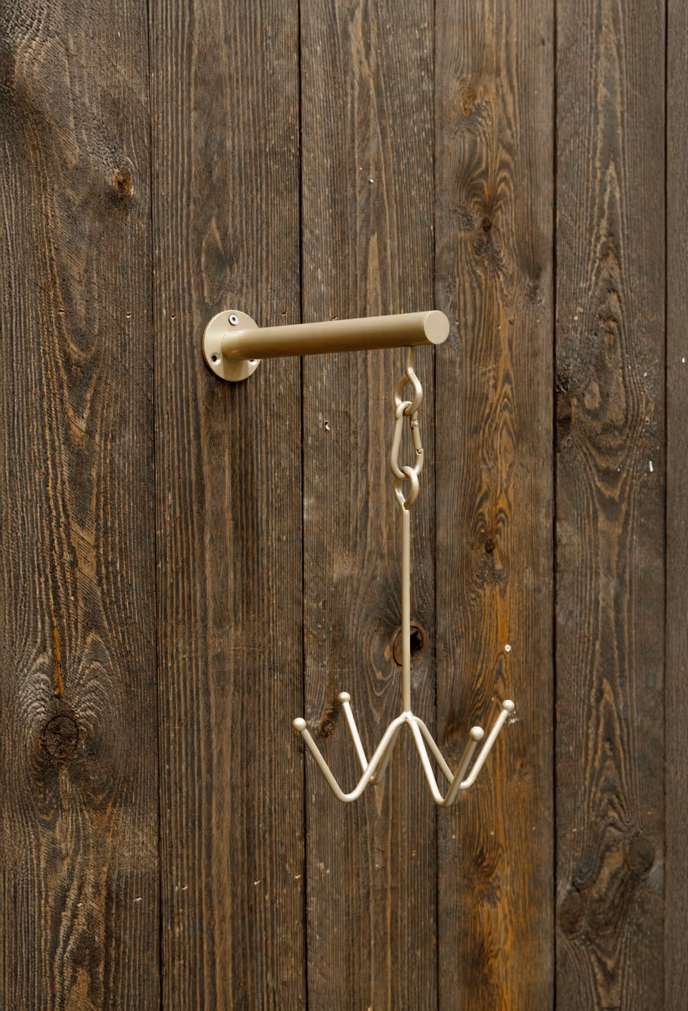 Bridle Hook 4 prong with wall attachment gold