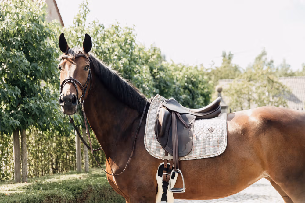 Saddle Pad Pied-de-Poule dressage beige