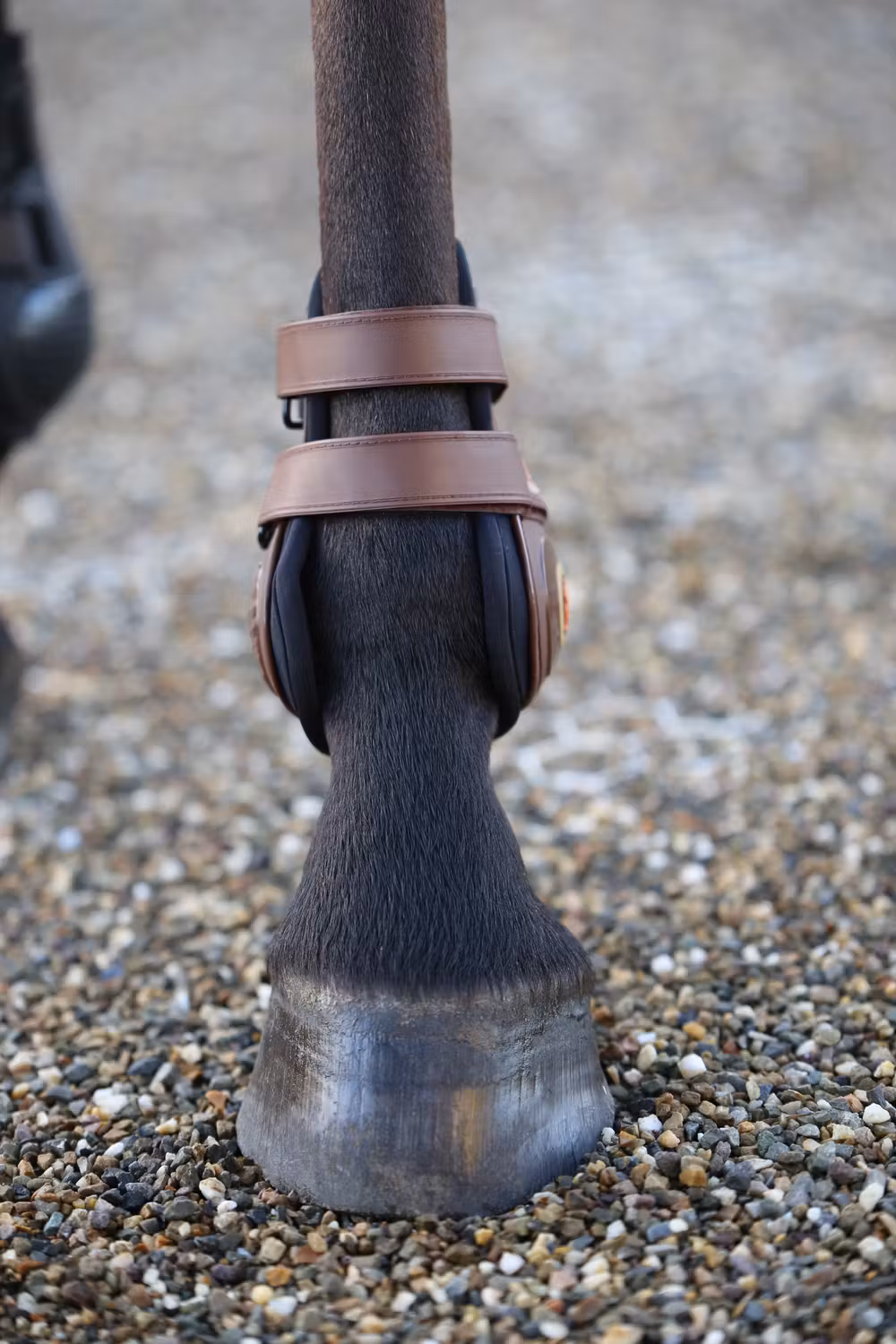 Moonboots Max brown
