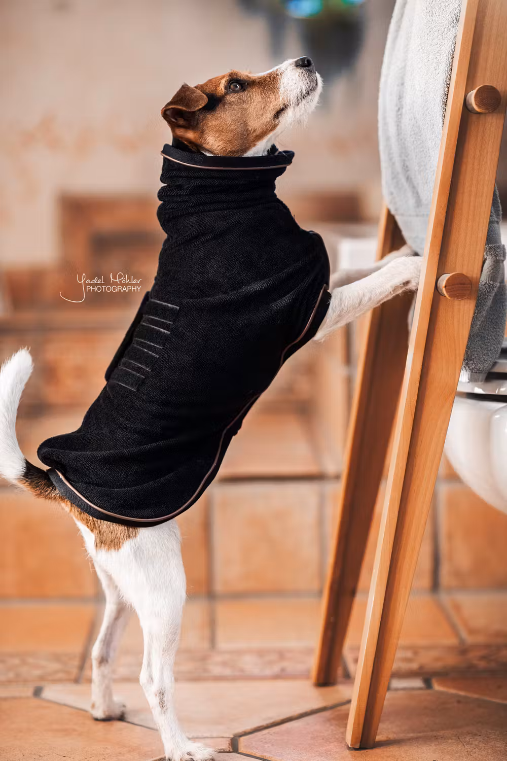 Dog coat towel black XXS 22.5cm-28cm