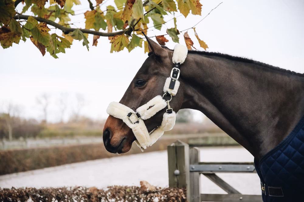 Sheepskin Shipping Halter natural Pony