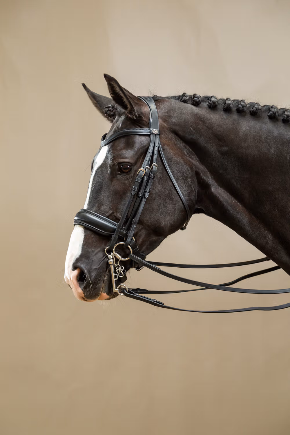 Matte Large Crank Noseband Double Bridle