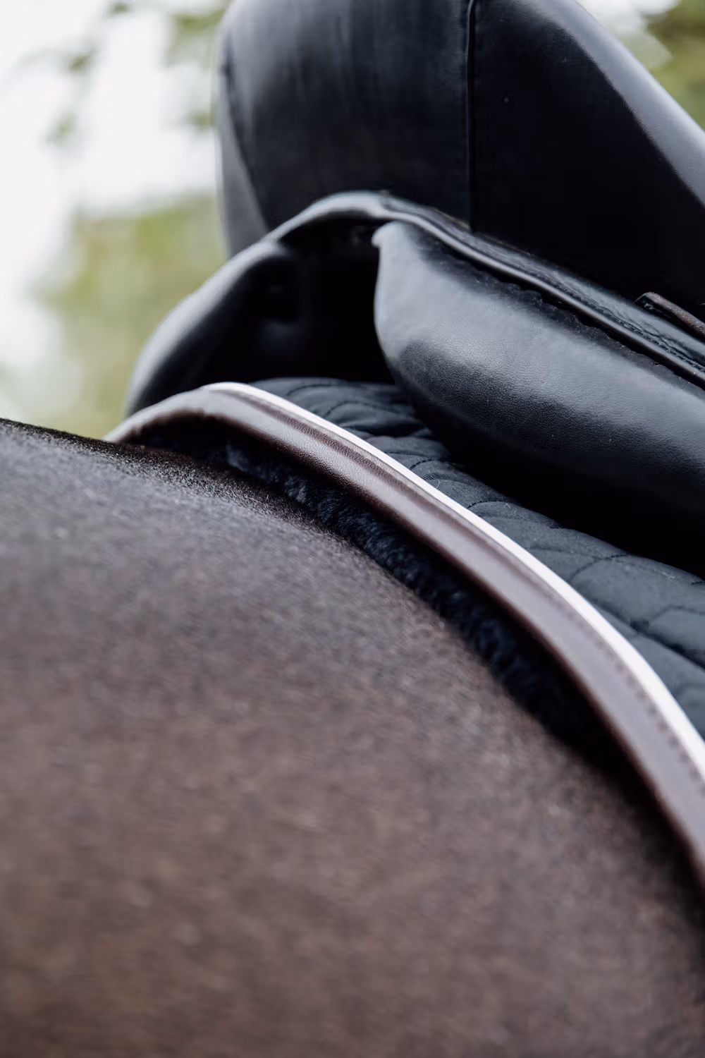 Skin Friendly Saddle Pad dressage black