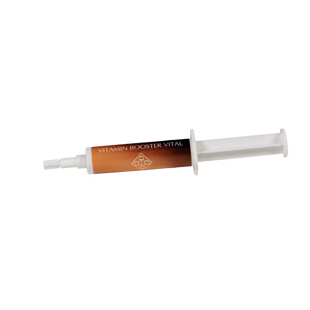 GD Vitamin Booster Vital