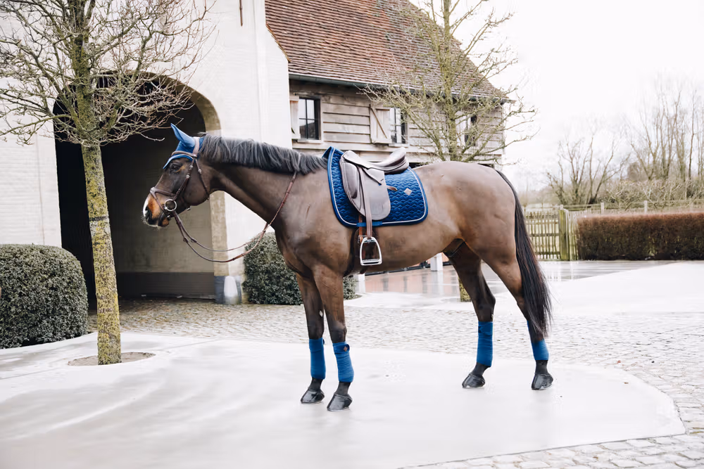 Saddle Pad basic velvet dressage navy