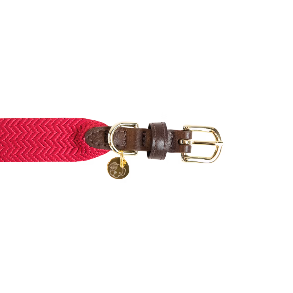 Dog collar Jacquard terracotta XL 71cm