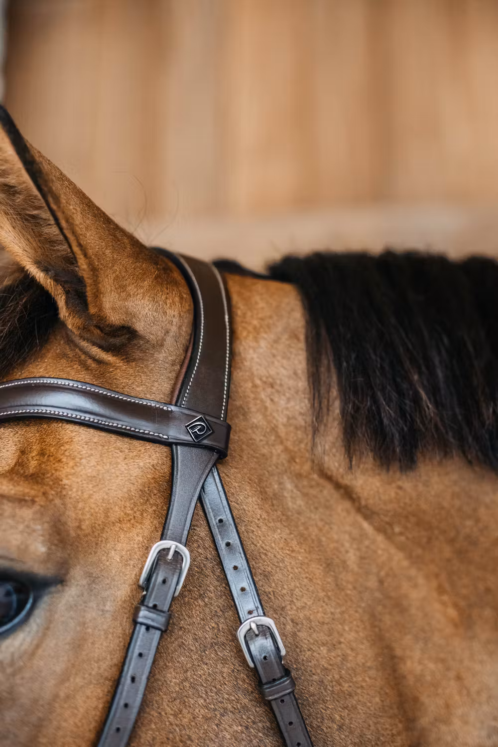Dyon Bitless Bridle Brown Full WBD