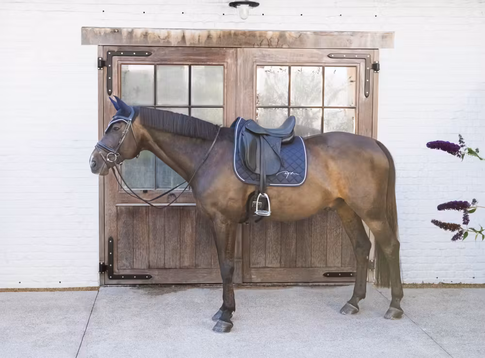Diamond Saddle Pad Dressage