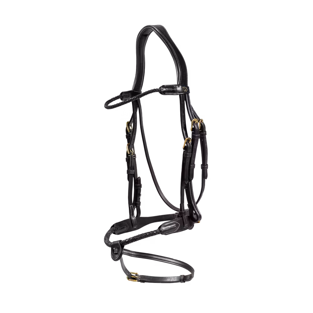 Braided Flash Noseband Bridle