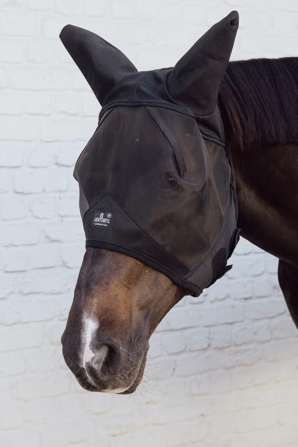 Fly mask with ears soundless black Full