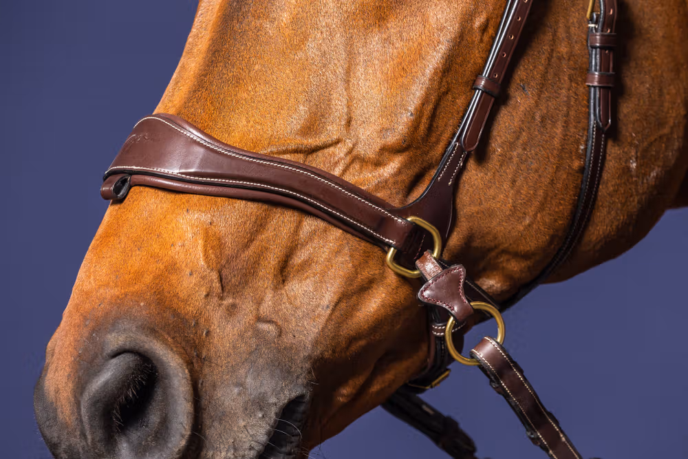 D Motion Bridle