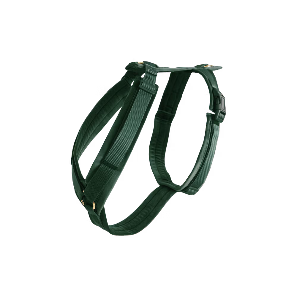 Dog Harness active velvet bordeaux S 26-40cm