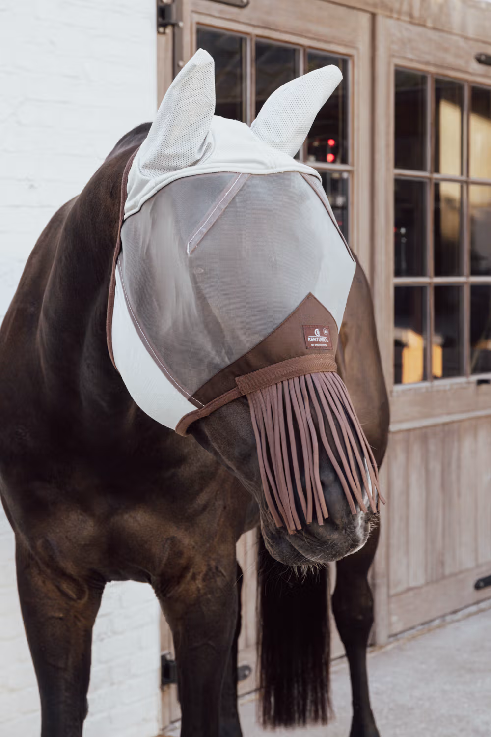 Fly mask classic with ears & nose tassels silver Full