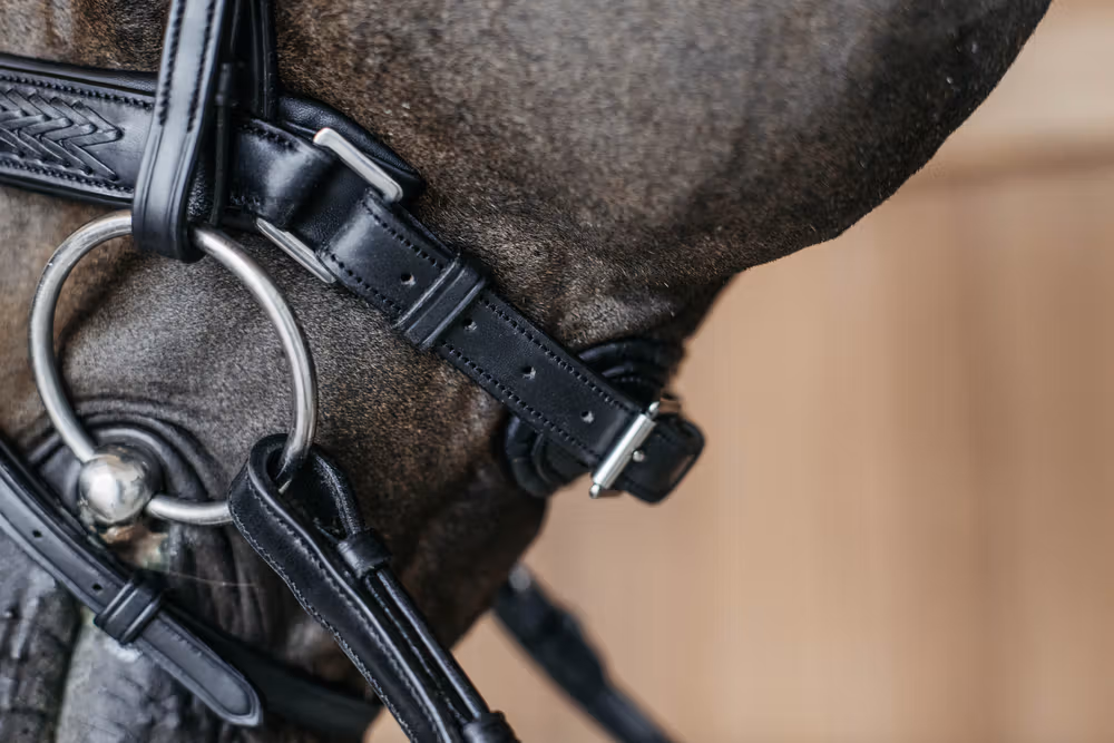 Plaited Flash Noseband with Pull back Black Full NE