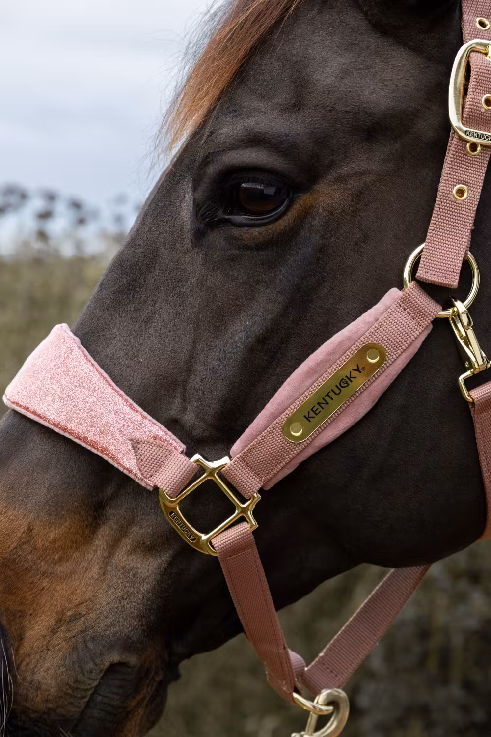 Velvet halter unicorn glitter old rose cob