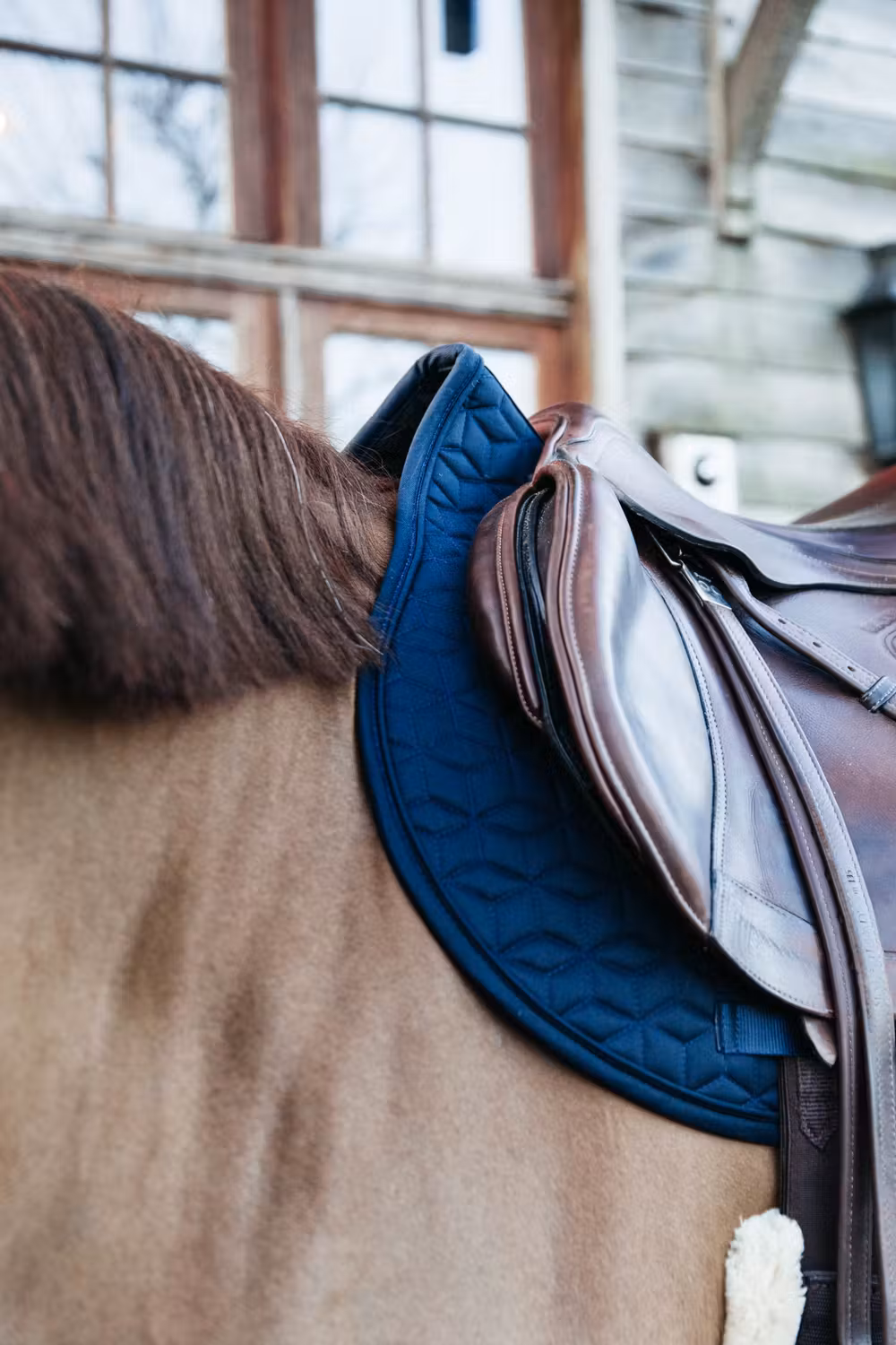 Saddle Pad classic jumping navy