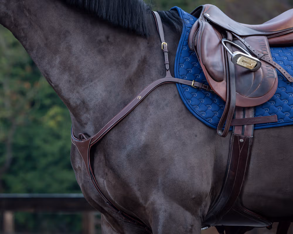 Long Bridge Breastplate