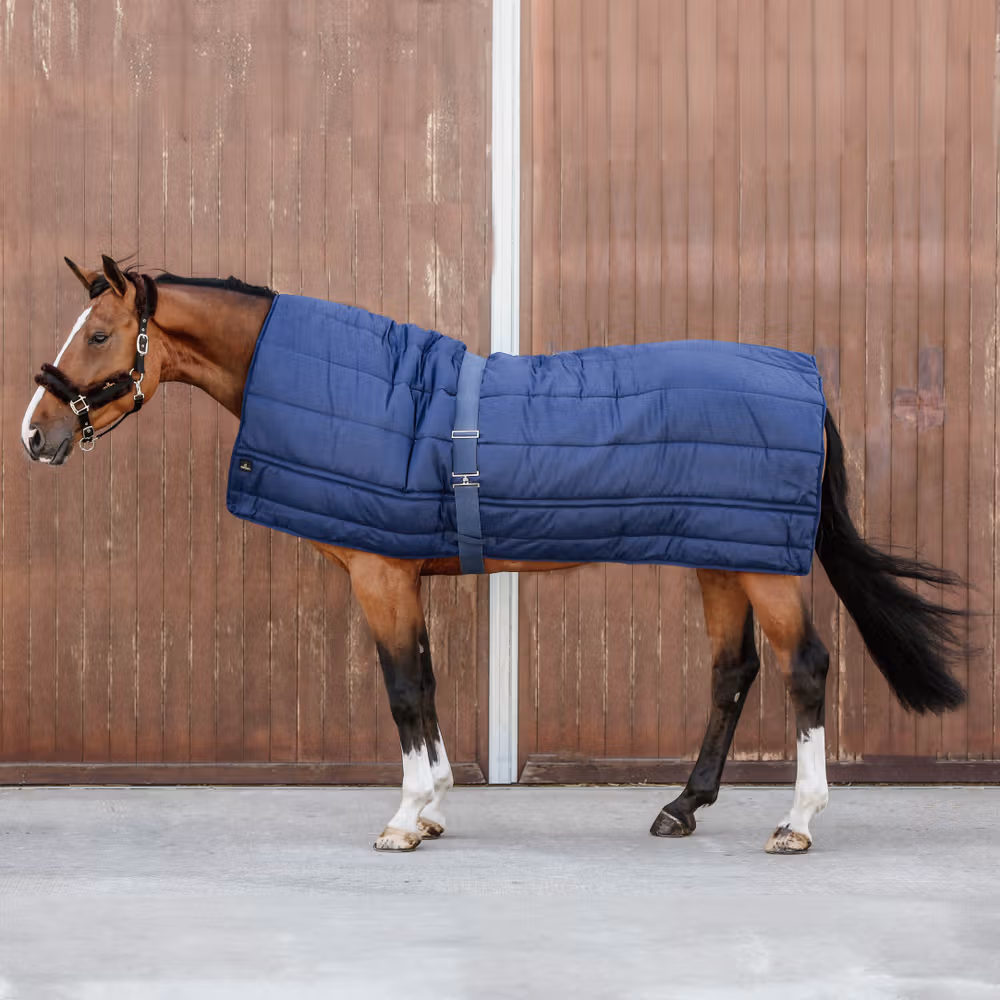 Horse Duvet Navy 300 gram