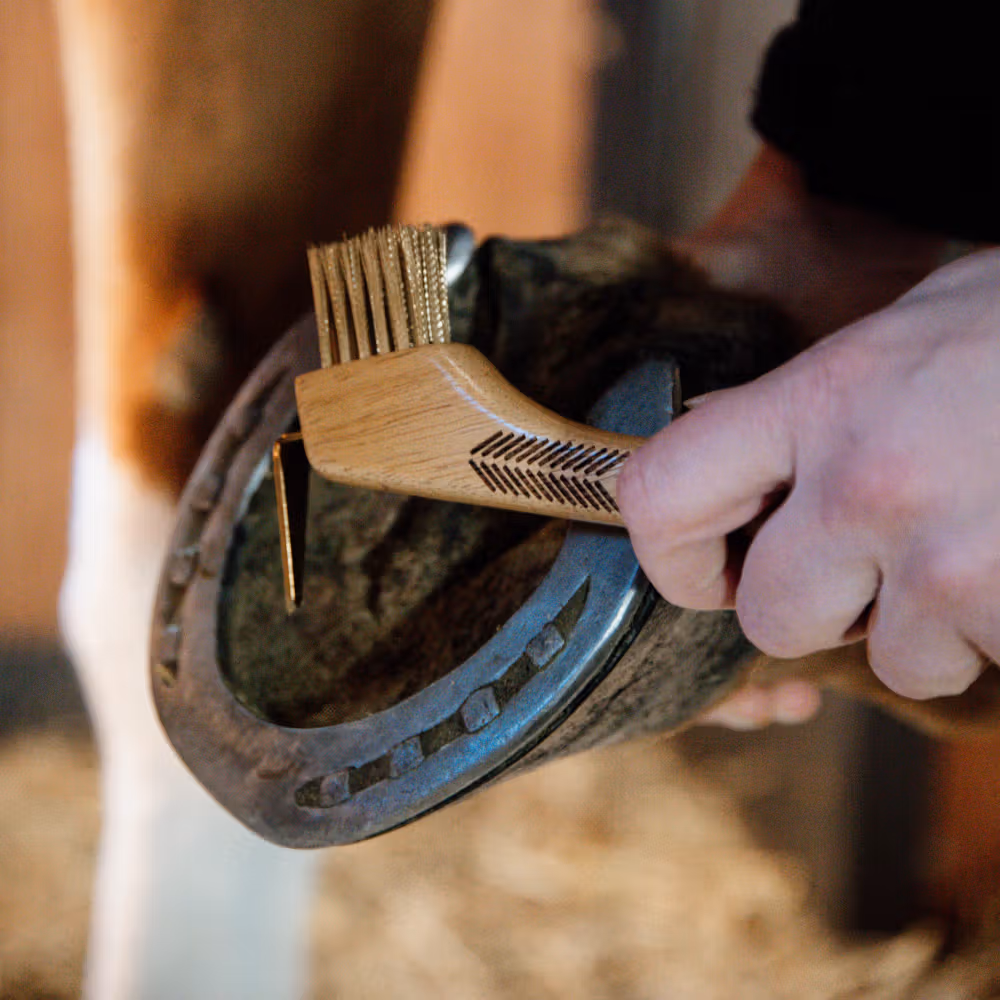 Hoof pick with metal bristle