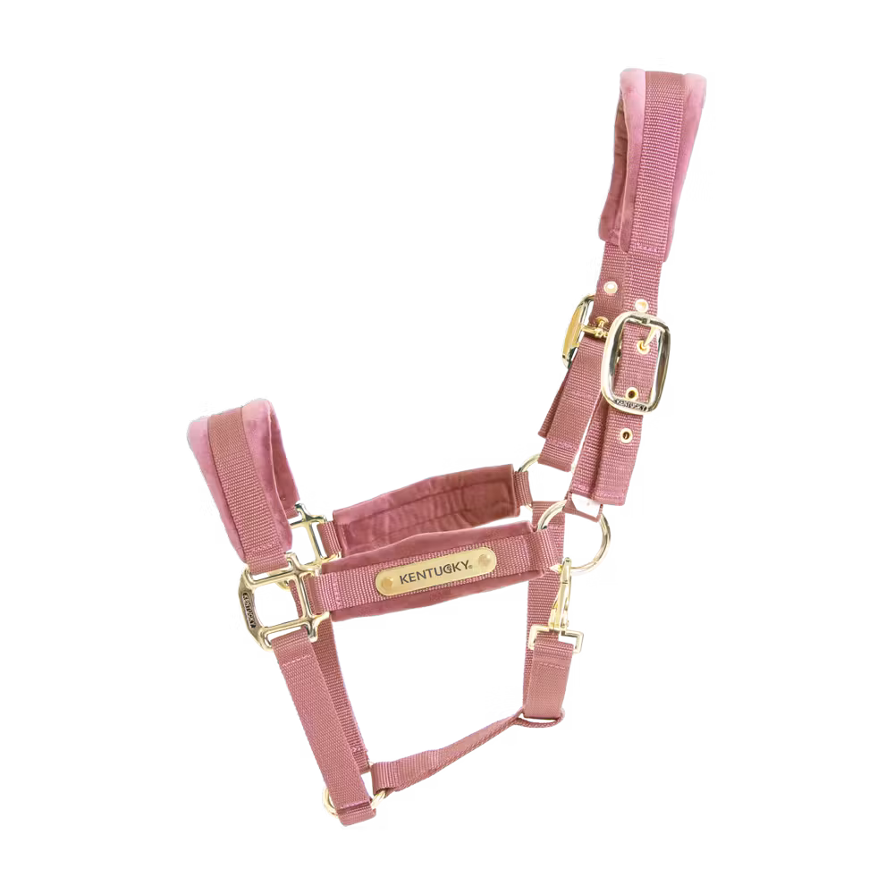 Velvet Halter old rose cob