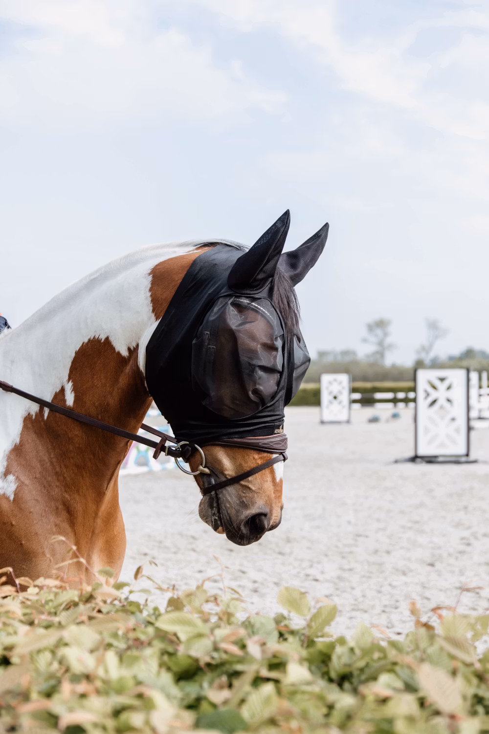 Fly mask slim fit black