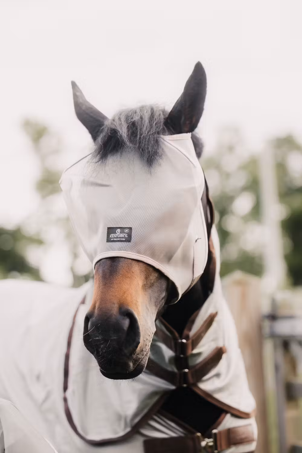 Fly mask classic without ears beige cob