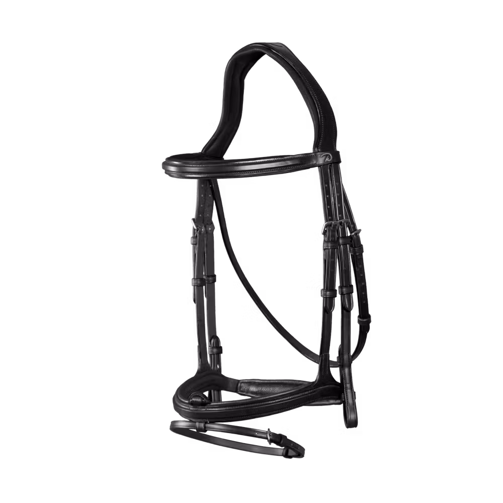 Flash Noseband Bridle